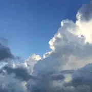 dubの画像