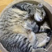H.Kの画像