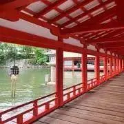 ゆいの画像