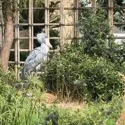 たほんの画像