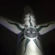 Kanataの画像