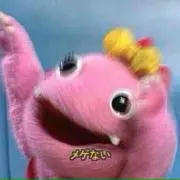 ポムコル
