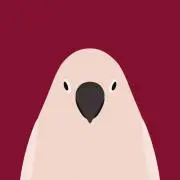 yoshiの画像