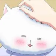 ぱっきんちゅー