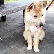 ぶぶ
