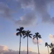 バム