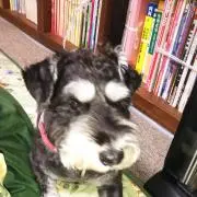 MUCCママの画像