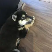 ひろ