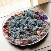 MILPFの画像