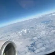 jamの画像