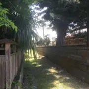 ぜの画像