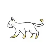 かぐらの画像