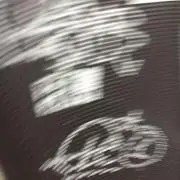 しゃしゃの画像