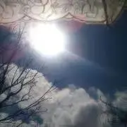 ふわりの画像