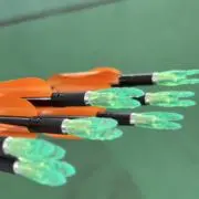 マナムヨーコの画像