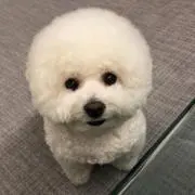mkyの画像