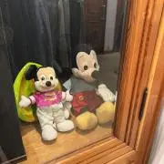 Rの画像