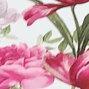 ずすの画像