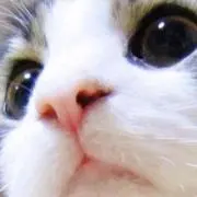すず «プロフ必読 »