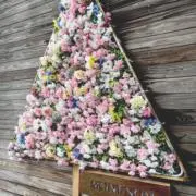 ゆーかの画像