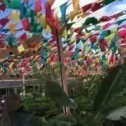 かーみんの画像
