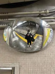 Why_Zedの画像