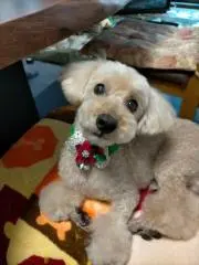 Mokoの画像