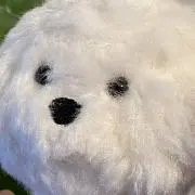 るんの画像