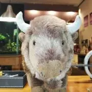 なおきの画像