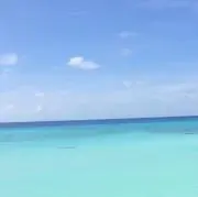Rioの画像