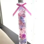 JUNKOの画像