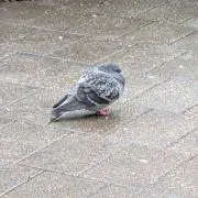 あ プロフ必読の画像
