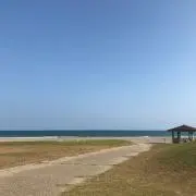 かおるの画像