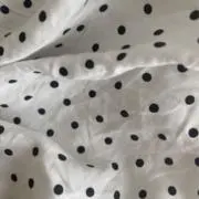 buuritの画像