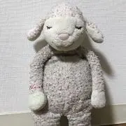 さとるの画像