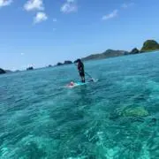 ひーほー　断捨離中の画像