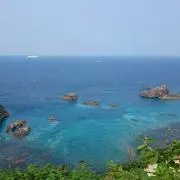 task※プロフ必読