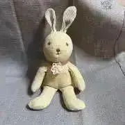 リコたんの画像