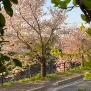 ＪＪの画像