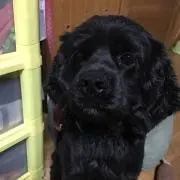 いそ