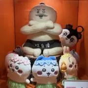 きくらげの画像