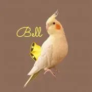Bell