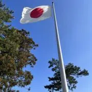 タマの画像