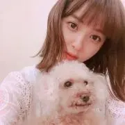 あゆみの画像