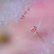 みぐぽむ