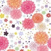 ⭐︎えりんぎ⭐︎の画像