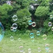 べあの画像