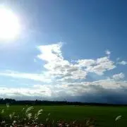 ＪＩＮＯ(プロフィール読んで下さい)の画像