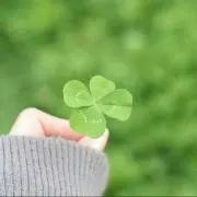︎✿優美︎✿の画像