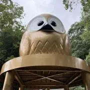 フクロウの画像